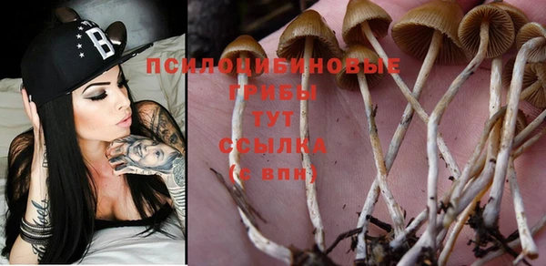 синтетический гашиш Балахна