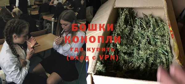 PSILOCYBIN Аркадак