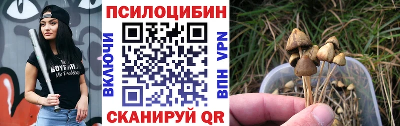 KRAKEN зеркало  даркнет сайт  Михайлов  Галлюциногенные грибы ЛСД 